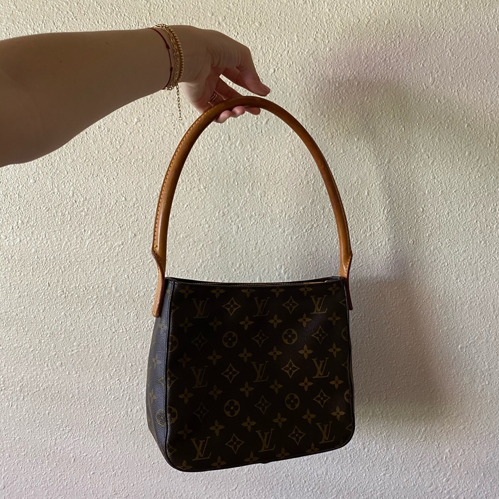 Louis Vuitton Loop Zipper purse